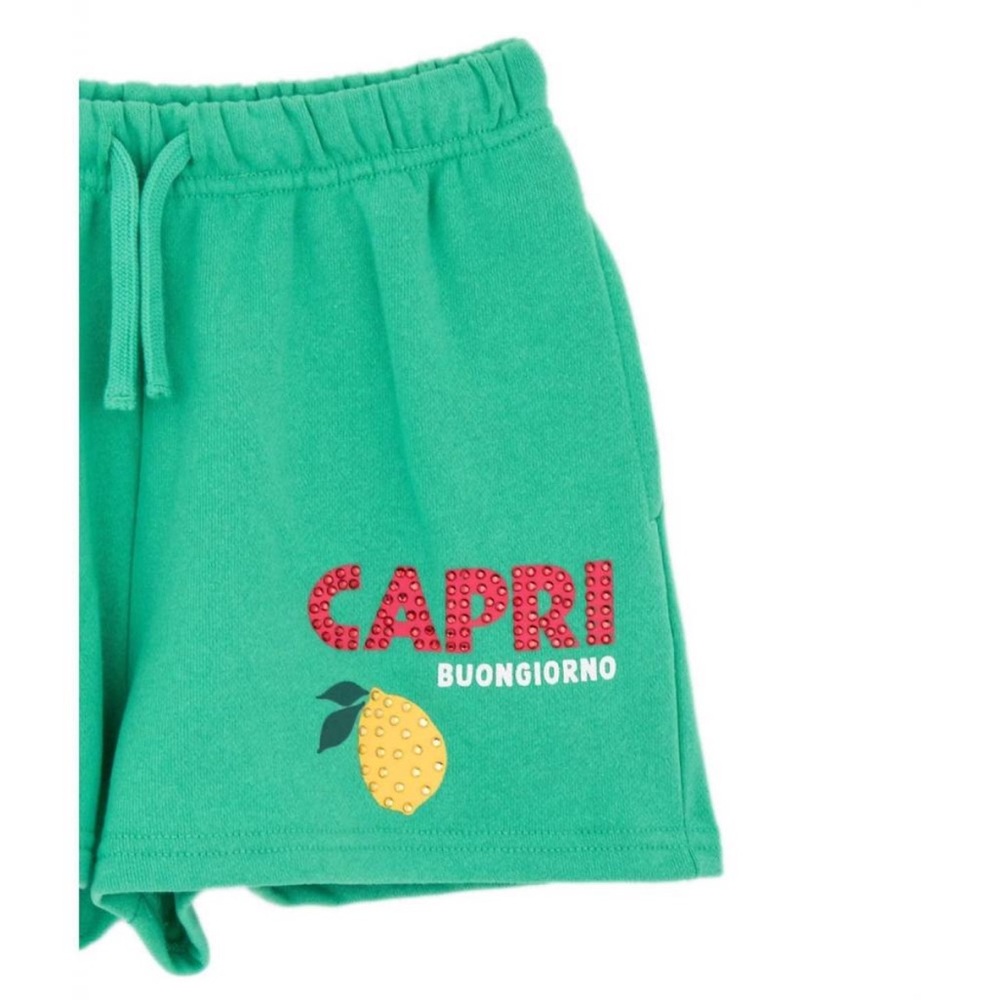 NWT! Vintage Havana capri sweat shorts green size large